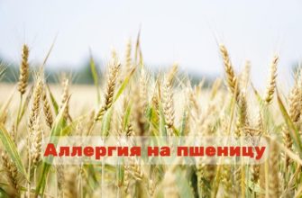 Аллергия на пшеницу