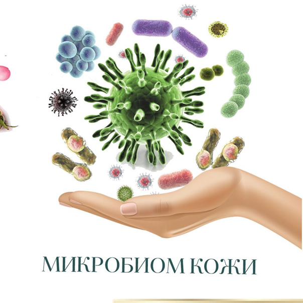 Микробиом кожи человека: что это, что на него влияет, как ухаживать